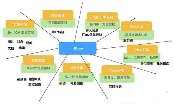 选择软件开发和网站开发有什么区别呢？选择那个比较好