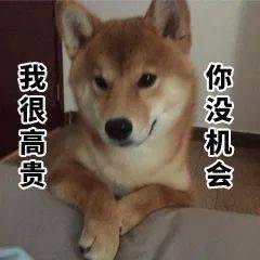 体育足球篮球直播软件网站开发，赛事API资源这样对接最稳妥
